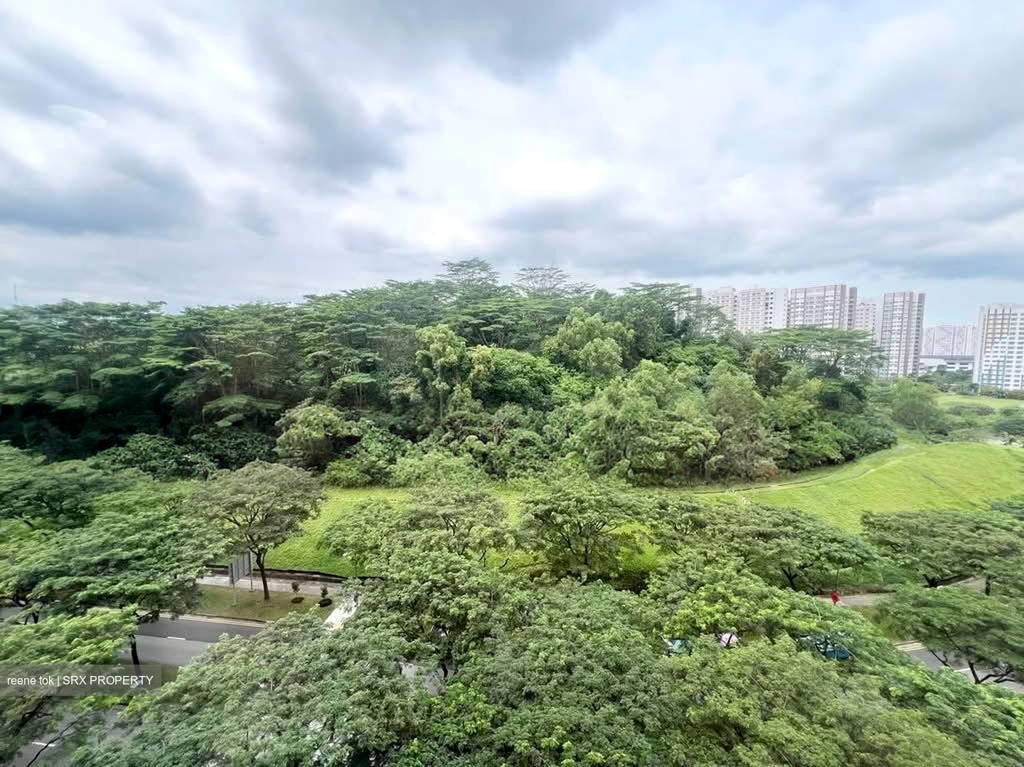 Blk 467C West Plains @ Bukit Batok (Bukit Batok), HDB 3 Rooms #578971891